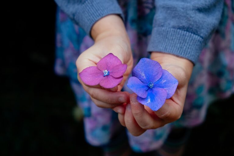 Hvad er forskellen på introvert og særligt sensitiv?