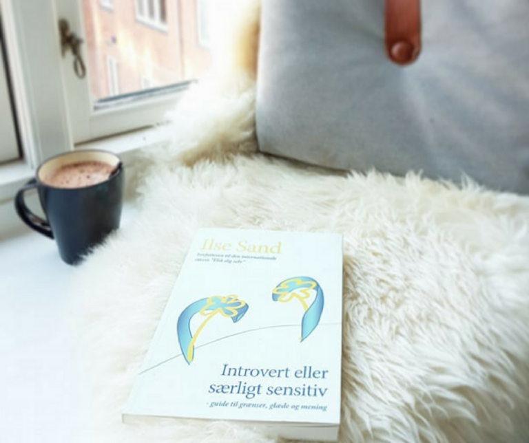 Frk. Introvert læser: Introvert eller særligt sensitiv – guide til grænser, glæde og mening